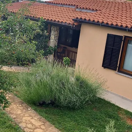 Casetta Tra Gli Ulivi Feriehus