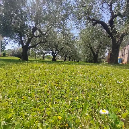 Feriehus Casetta Tra Gli Ulivi