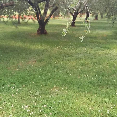 Casetta Tra Gli Ulivi Feriehus Umag